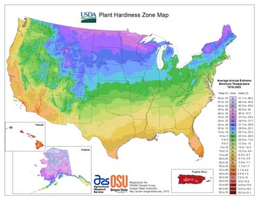 plant hardiness map