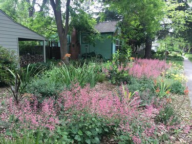 native garden