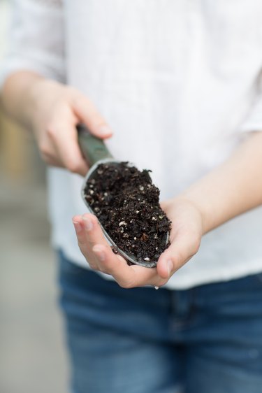 Use premium soil when planting an herb garden