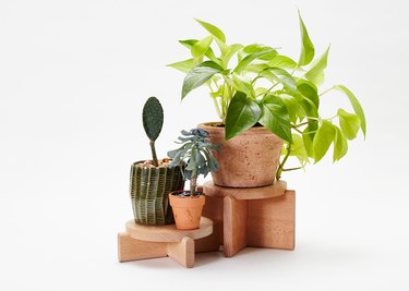 wooden plant pedestals from Areaware