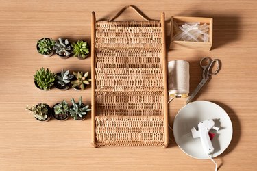 Earth Day planter DIY with succulents