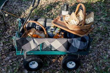 Green garden wagon filled with blanket, snacks and drinks