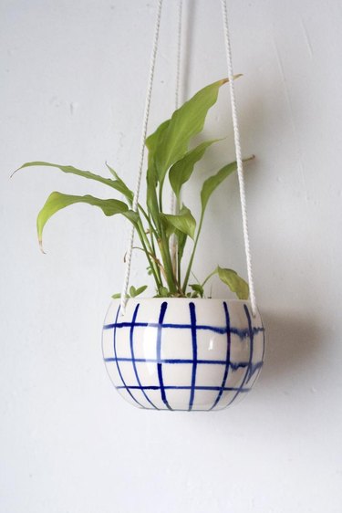 hanging planter with plant