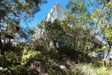 Artist Julie Markfield and Architect Greg Crawford Home Tour