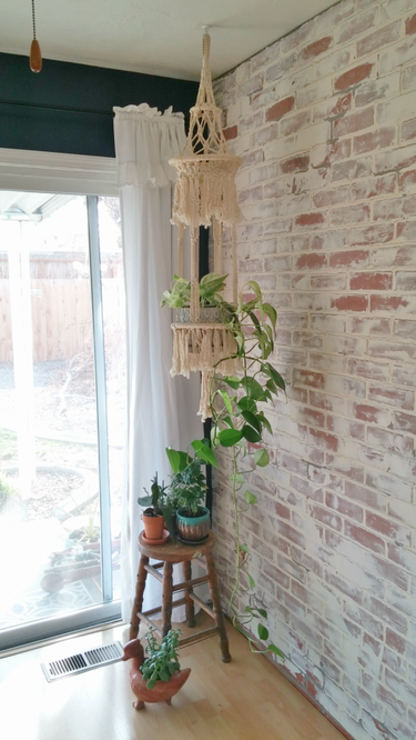 White washed brick wall, macrame plant holders, wood stool, plants in terra cotta pots, white curtain, dark green walls, light wood floors with rustic colors