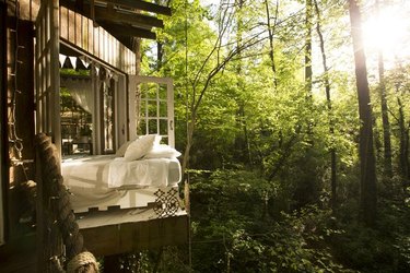 bed in a treehouse suspended above the forest floor