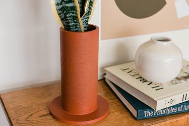 Faux terra cotta vase with snake plant.