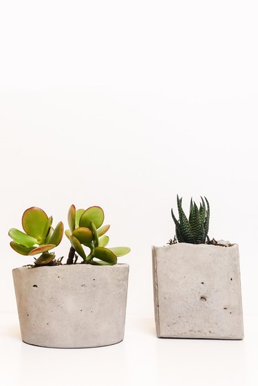 DIY Modern Succulent Planter Tutorial Using Concrete