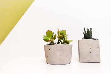 DIY Modern Succulent Planter Tutorial Using Concrete