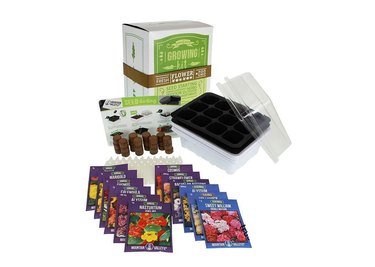 Mountain Valley Co. Flower Seed Kit