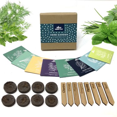 Herb starter kit