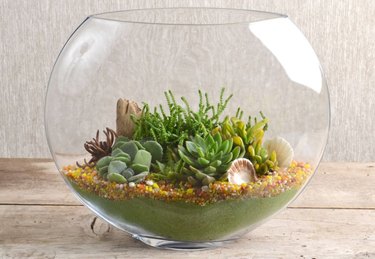 Ocean-theme succulent container.