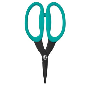 herb scissors