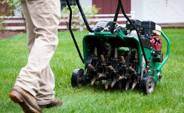 Power lawn aerator.