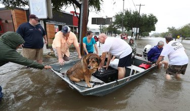 Hurricane Harvey victims.