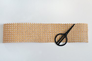 Cane webbing and scissors