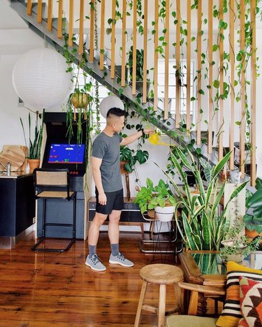 Ron Goh of Mr. Cigar Loft watering plants in loft