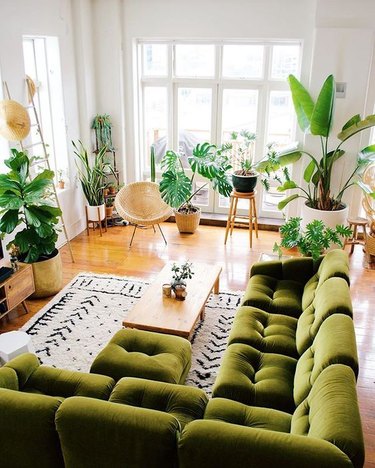 Ron Goh of Mr. Cigar Loft living room with green sectional sofa