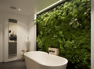 spa bathroom ideas with verdant living plant wall