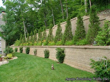 slope landscaping on a budget