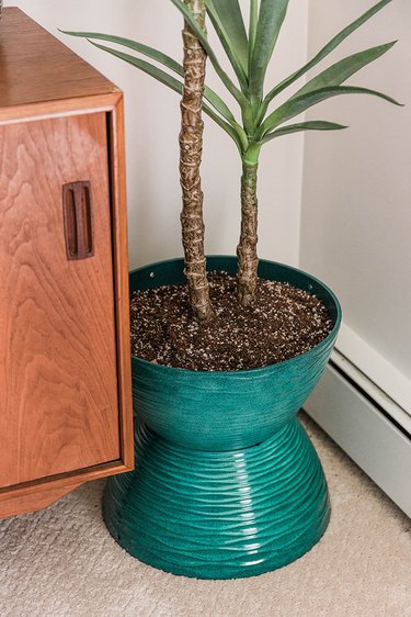 This type of curvy pot looks right at home beside a retro buffet and colorful art.