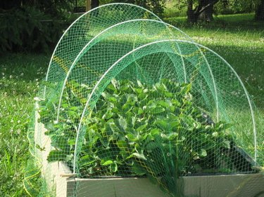 Hoop house.