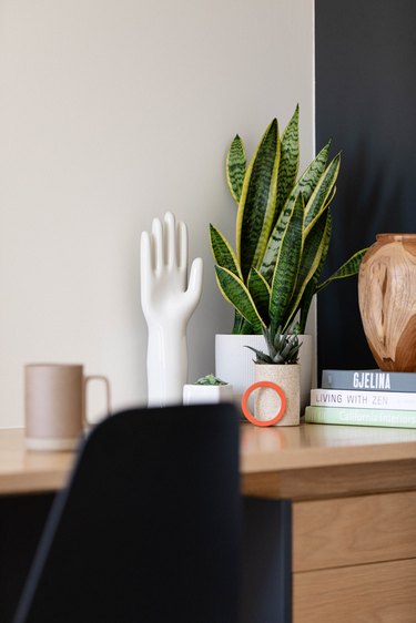 Snake plant on home office desk