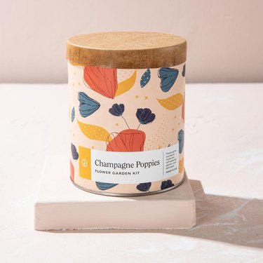 champagne poppies waxed planter kit