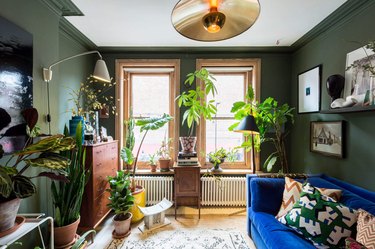 colors that go with green, bright blue sofa and yellow planter with lots of plants