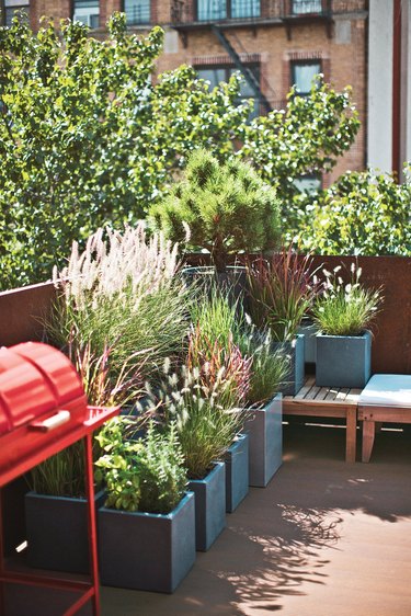 Container garden