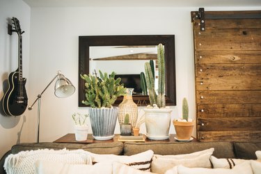 Bohemian living room idea with cacti and rustic sliding barn door