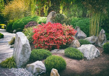 Japanese rock garden.