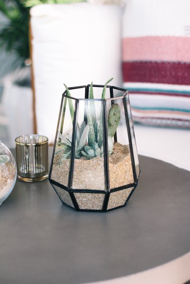 Walmart Outdoor Terrarium DIY