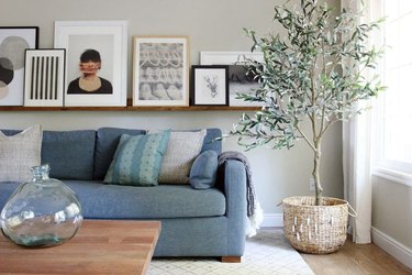 diy rustic decor art ledge in living room with blue sofa olive tree in the corner