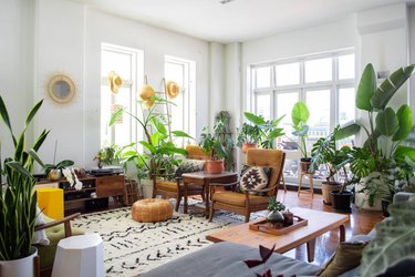 vintage living room idea with vintage furniture and lots of plants