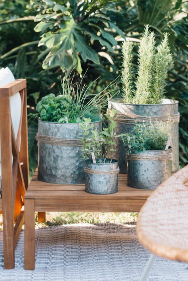 DIY Herb Garden for Your Patio