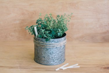 DIY Herb Garden for Your Patio