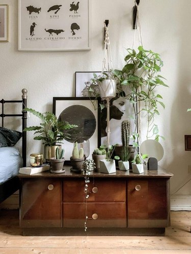 Plant-Themed Bedroom Ideas and Inspiration | Hunker