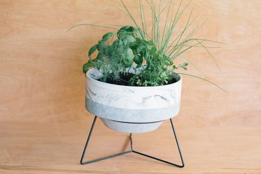 indoor herb garden in marble pot on stand