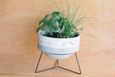 DIY Herb Garden for Your Patio