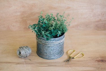 DIY Herb Garden for Your Patio