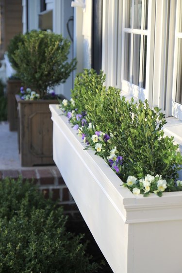 white window flower boxes with small florals