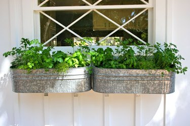 galvanized window flower boxes with herbs