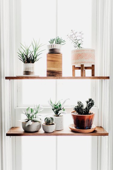 window plant shelves with small potted plants