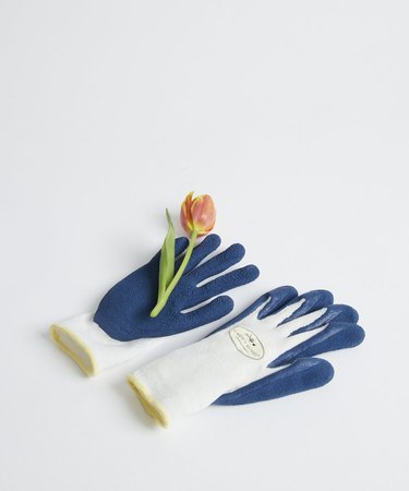 blue and white pair of gardening gloves