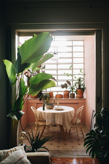 pink dining room with bistro table and chairs and potted plants