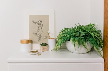 Fern on bathroom cabinet