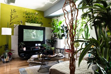 lime green feature wall in living room with black mantel and black furniture