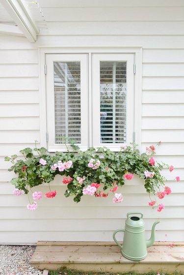 window flower box with hanging foliage against white house