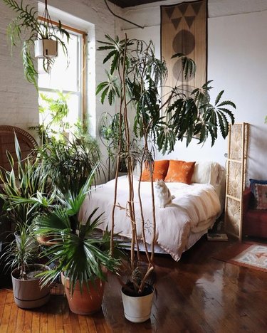 plant-themed bedroom idea with potted palms dividing space